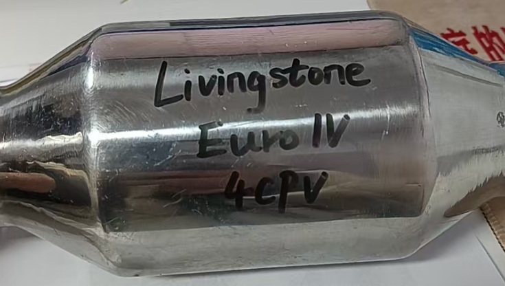 Grabado Livingstones Euro 4